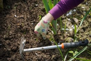 how to get rid of weeds in the garden