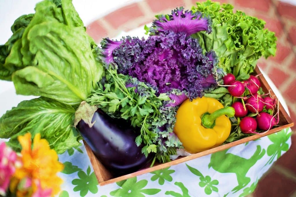 basket of organic garden produce