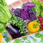 basket of organic garden produce