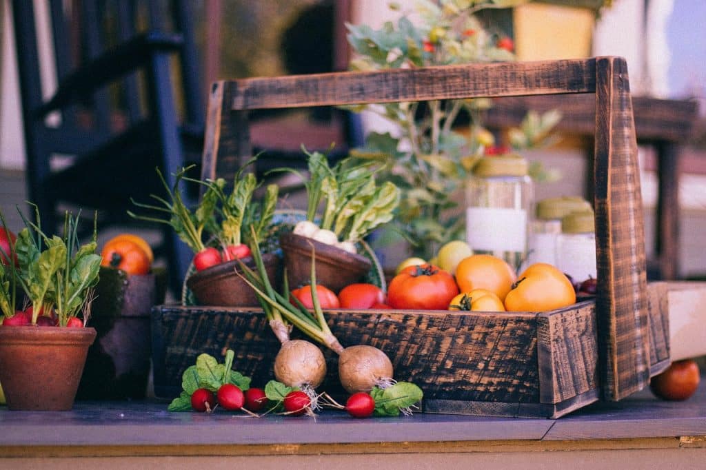 garden vegetables