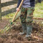 cleaning the plot from winter