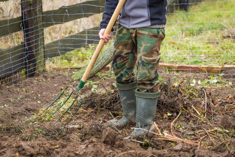 cleaning the plot from winter