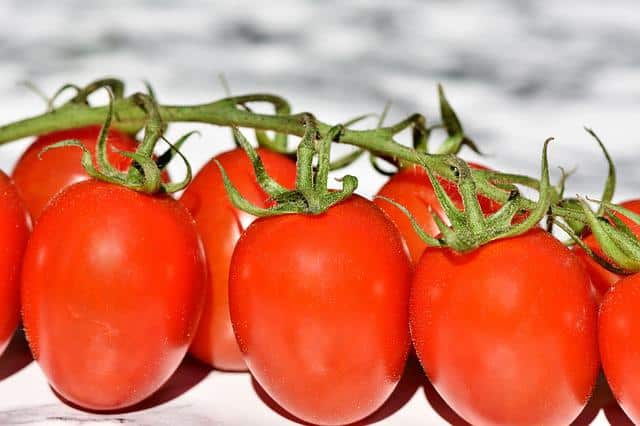 How to grow tomatoes
