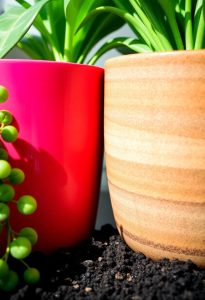 plastic vs ceramic pots