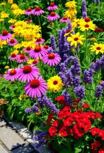 year round blooming perennial flowers