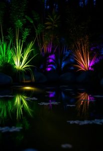 best pond lighting effects