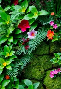 lush garden texture combinations