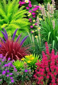 native plants for gardens